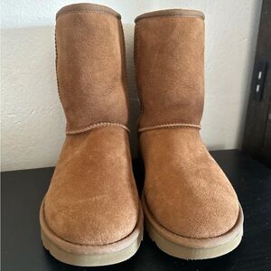 Chestnut Uggs
